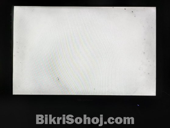 Skyview 19 inch Monitor